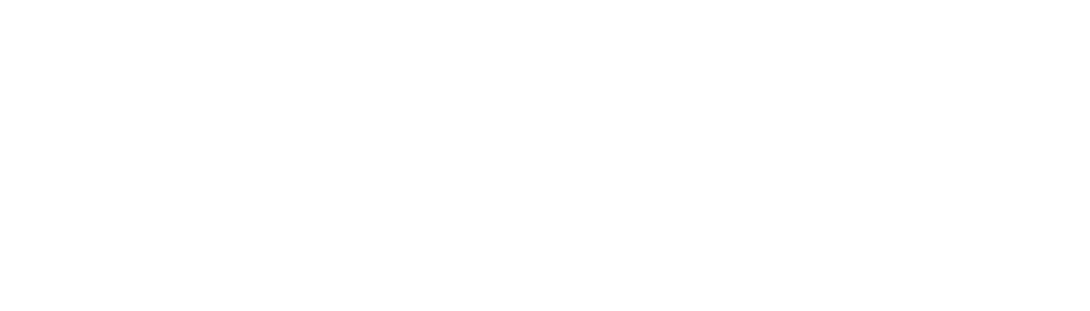 wellzyn.in